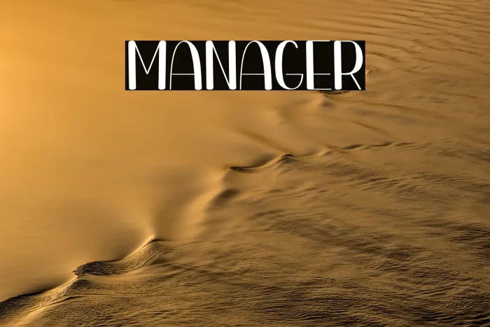 Manager Example 1