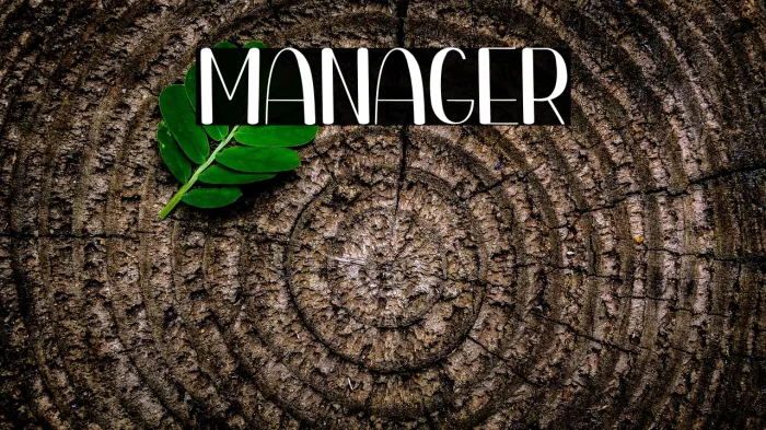 Manager Example 2