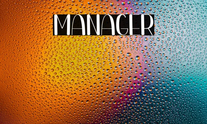 Manager Example 3