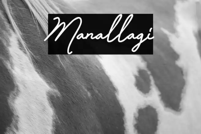 Manallagi Font examples