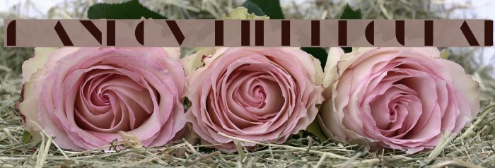 ManbowFill-Regular Example 2