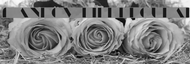 ManbowFill-Regular Font examples