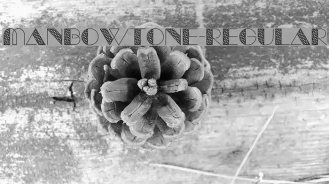 ManbowTone-Regular Example 1