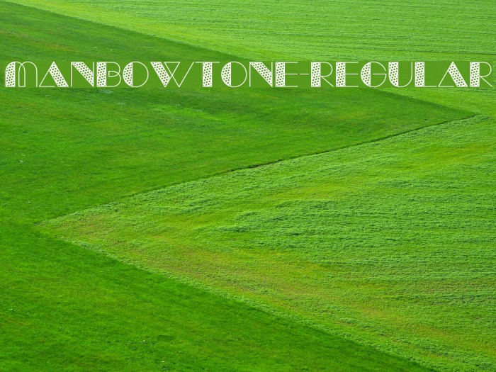 ManbowTone-Regular Font examples