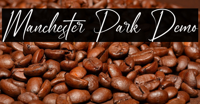 Manchester Park Demo Example 1