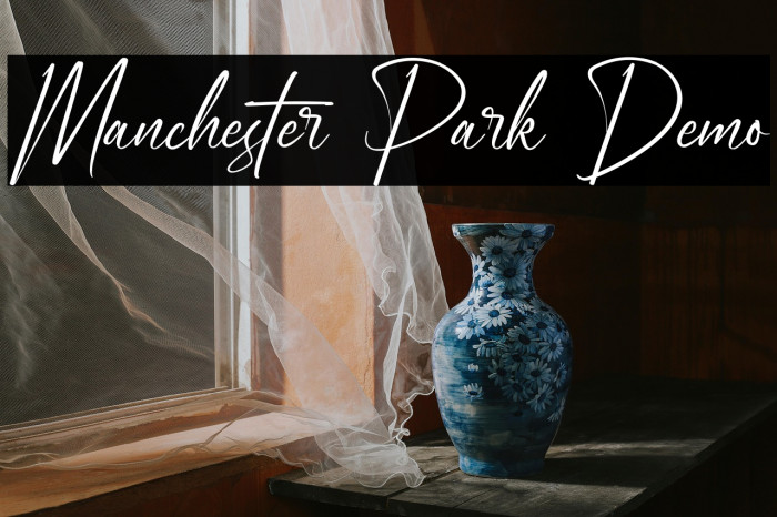 Manchester Park Demo Example 3