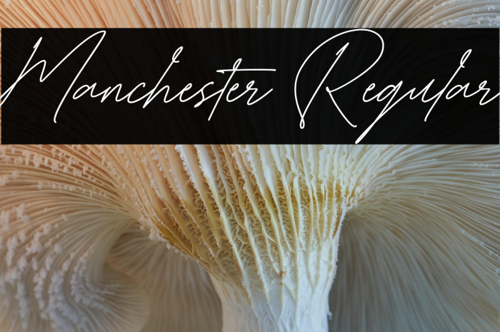 Manchester Regular Example 1