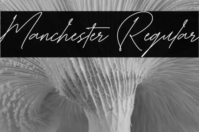 Manchester Regular Example 1