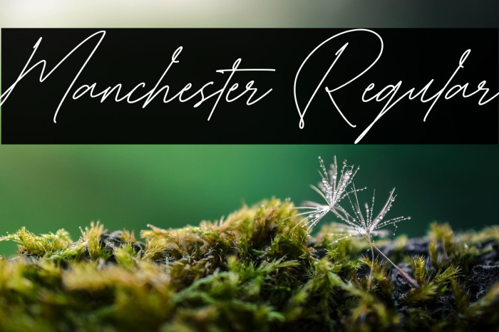 Manchester Regular Example 2