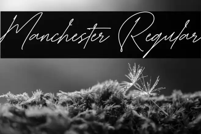 Manchester Regular Example 2