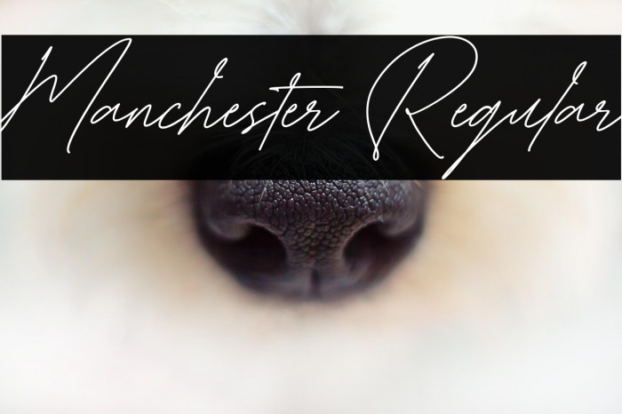 Manchester Regular Example 3