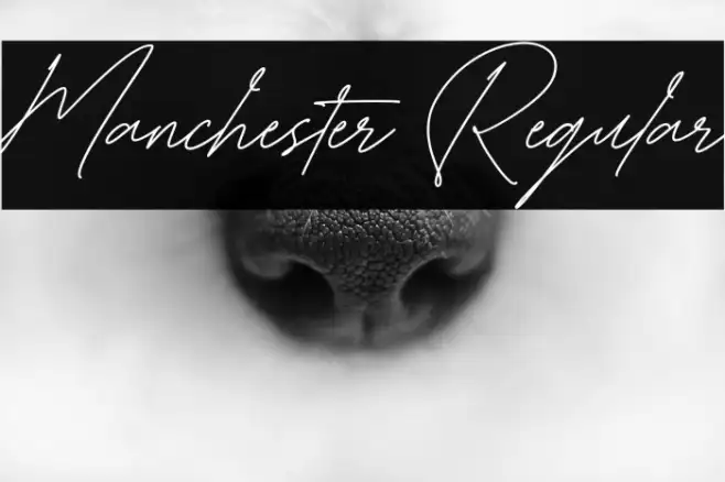 Manchester Regular Example 3