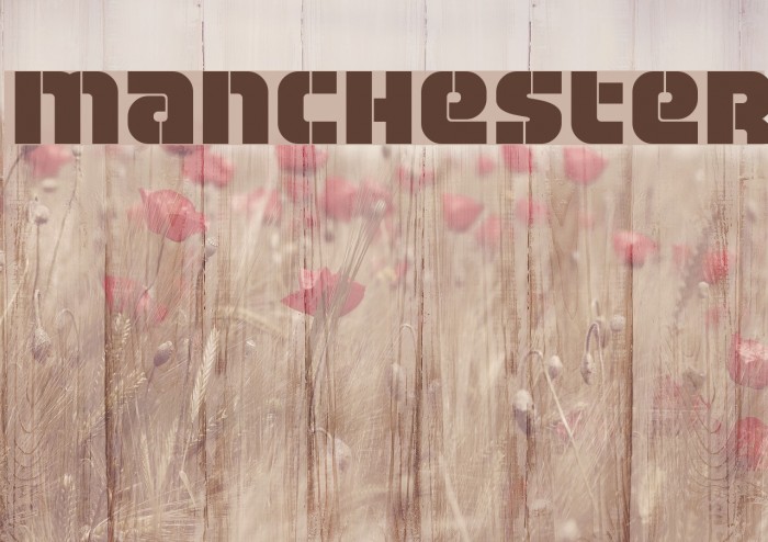 Manchester Font examples
