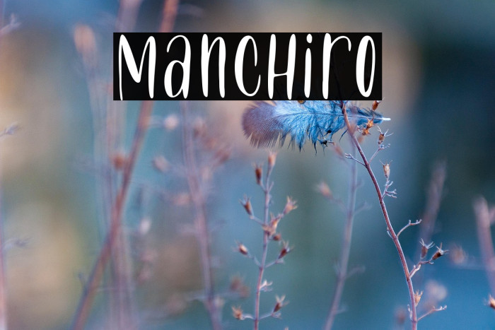 Manchiro Example 2