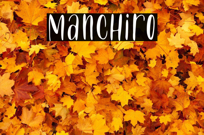Manchiro Example 3