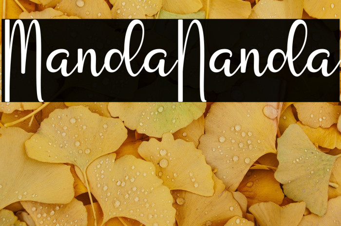 Manda Nanda Example 2