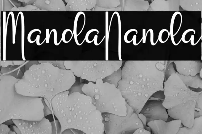 Manda Nanda Example 2