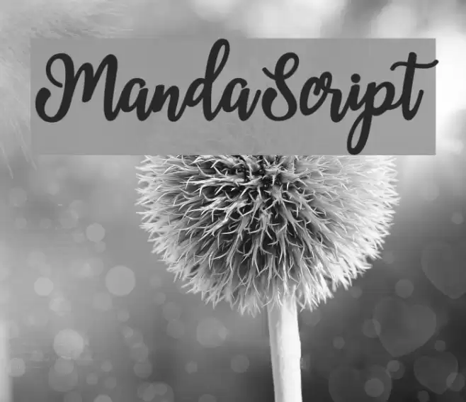 MandaScript Font examples