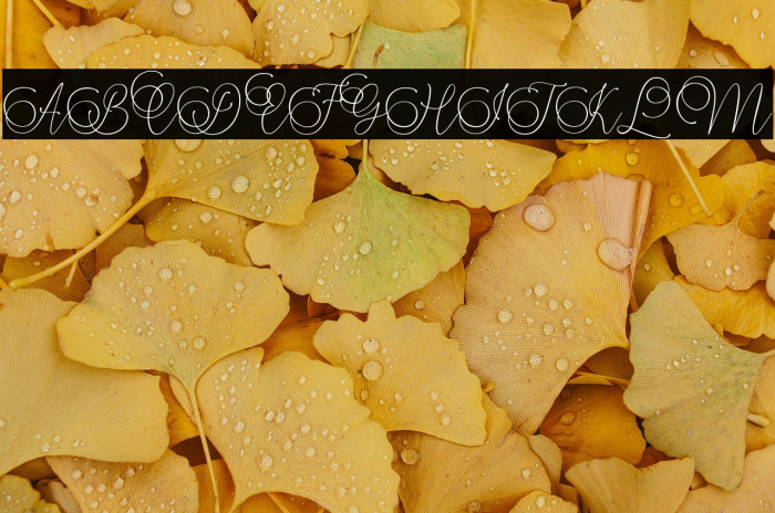 Mandailing Example 3