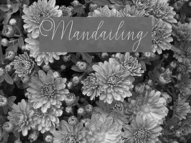 Mandailing Font examples