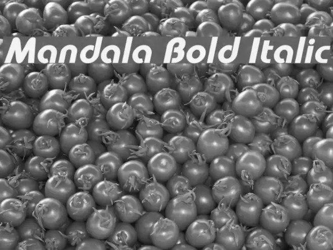 Mandala Bold Italic Font examples