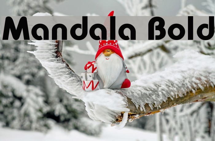 Mandala Bold Font examples