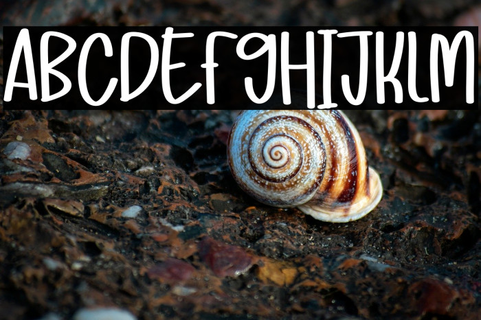 Mandala Farmhouse Example 2