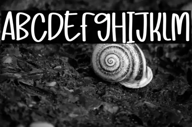 Mandala Farmhouse Font examples