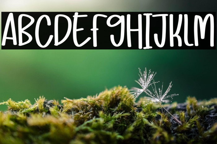 Mandala Farmhouse Example 3