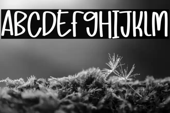 Mandala Farmhouse Font examples