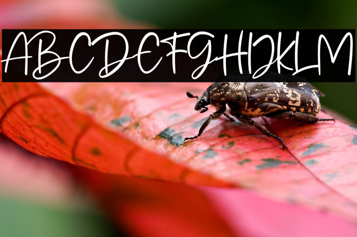 Mandala Handmade Example 1