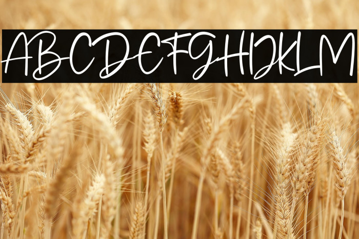 Mandala Handmade Example 3