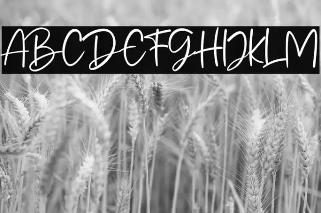 Mandala Handmade Caratteri examples