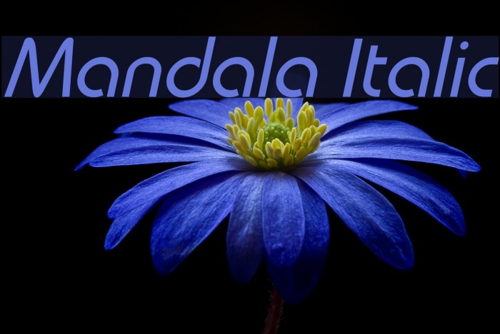 Mandala Italic Font examples