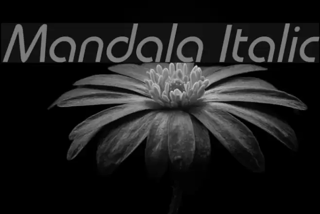 Mandala Italic examples