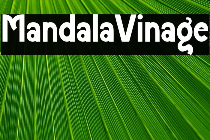 Mandala Vintage Example 1