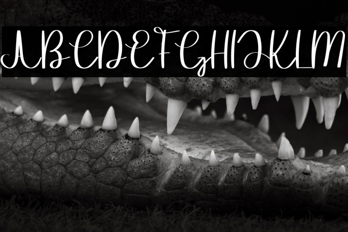 Mandala Wedding Example 1