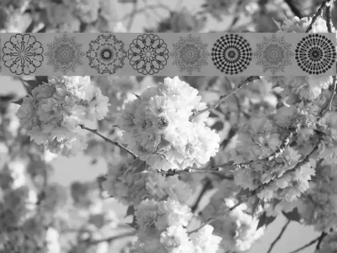 Mandalas Font examples