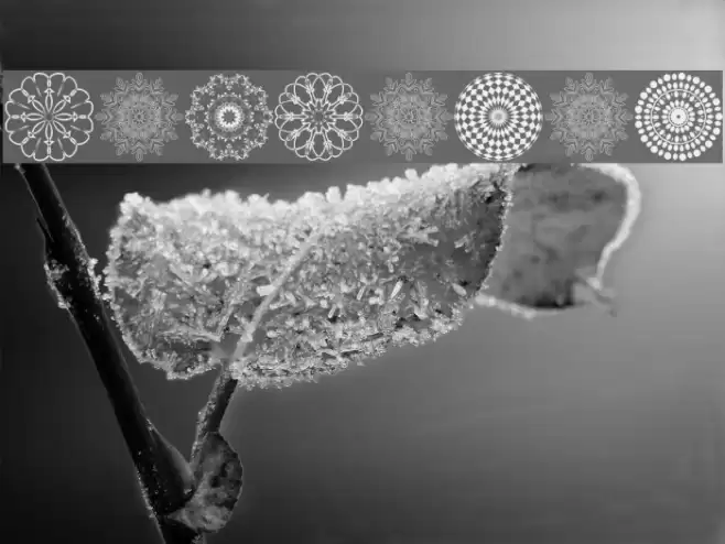 Mandalas Font examples