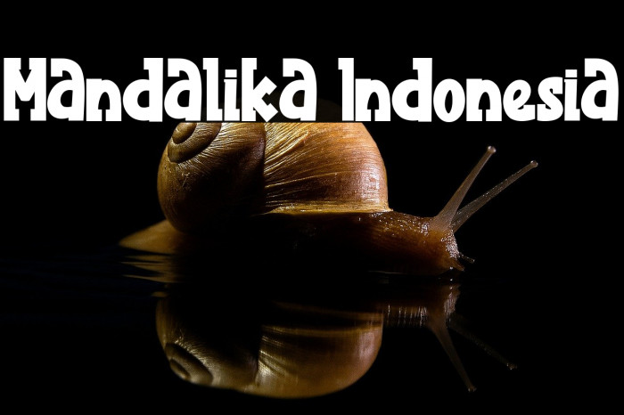 Mandalika Indonesia Example 3