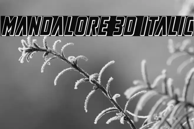 Mandalore 3D Italic Font examples