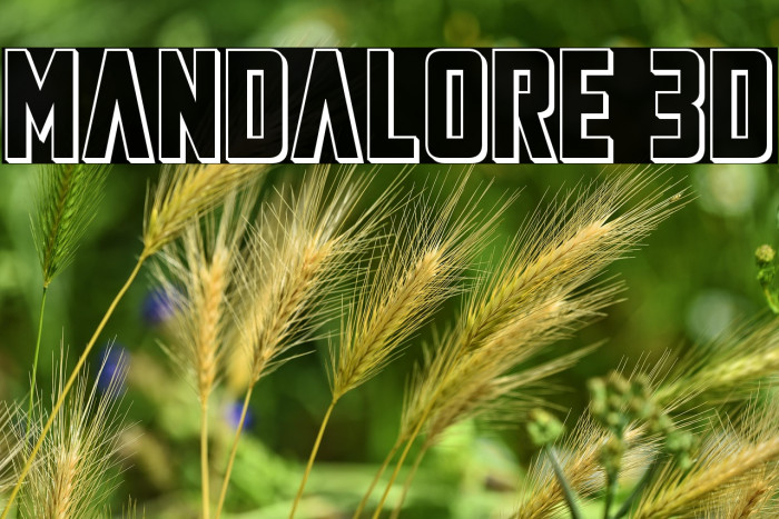 Mandalore 3D Example 3