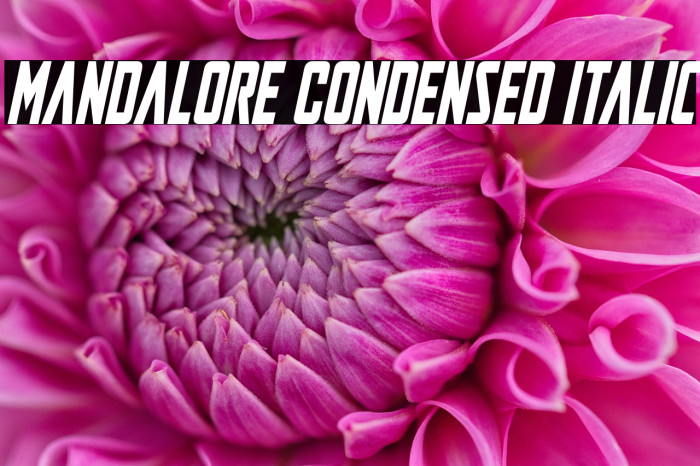 Mandalore Condensed Italic Example 3