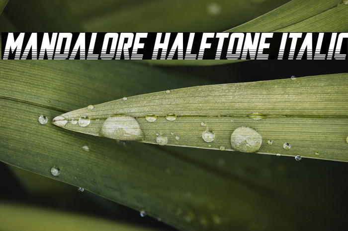 Mandalore Halftone Italic Example 3