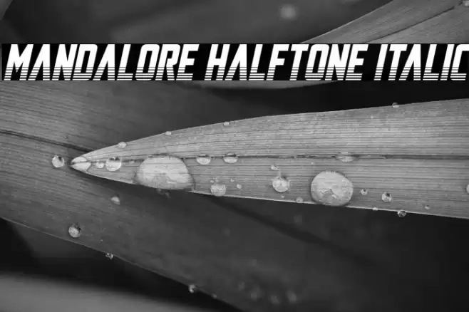 Mandalore Halftone Italic Font examples