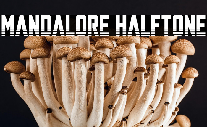 Mandalore Halftone Example 1