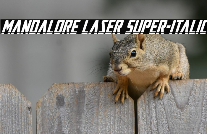 Mandalore Laser Super-Italic Example 2