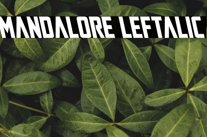 Mandalore Leftalic Example 2