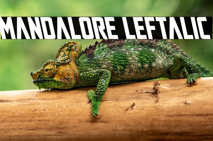 Mandalore Leftalic Example 3