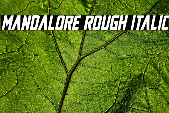 Mandalore Rough Italic Example 2